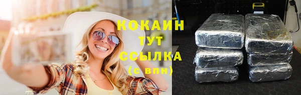 амф Кулебаки