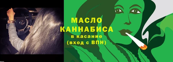 амф Кулебаки